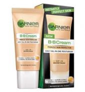Garnier Skinactive BB Cream 30g